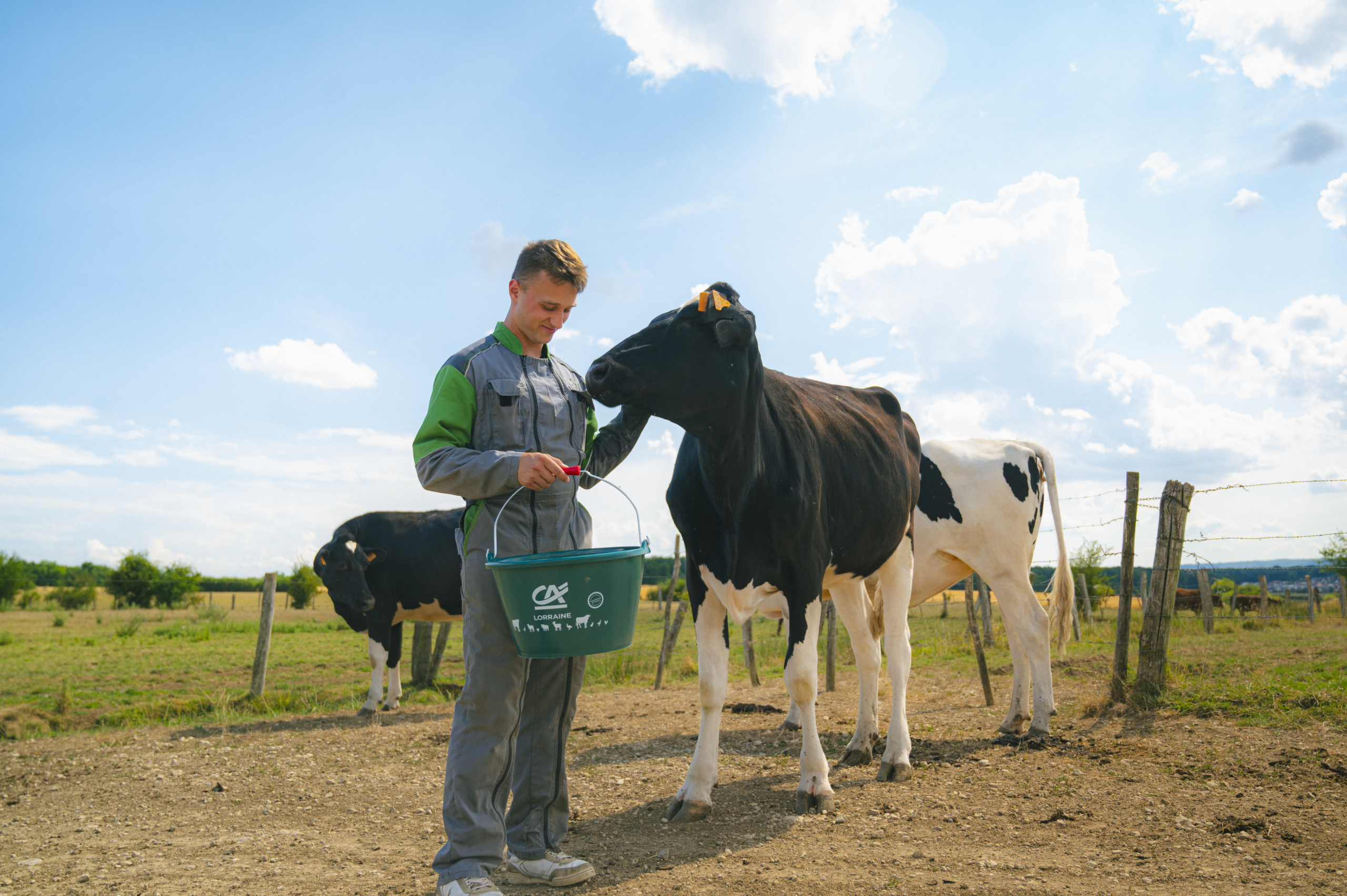 Agriculteur s'occupant d'une vache avec plaisir