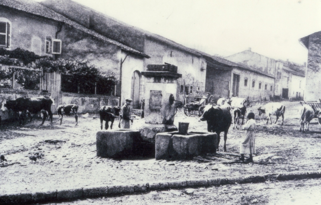 Ancienne photo représentant un village avec des animaux fermiers et des agriculteurs autour d'un puit