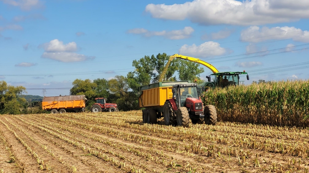 Tracteurs en train de faire l'ensilage dans un champ