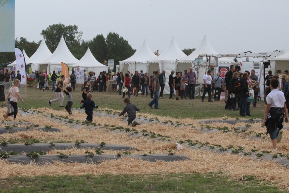 Participants à l'événement Les Terres de Jim au niveau des exposants et des diverses plantations